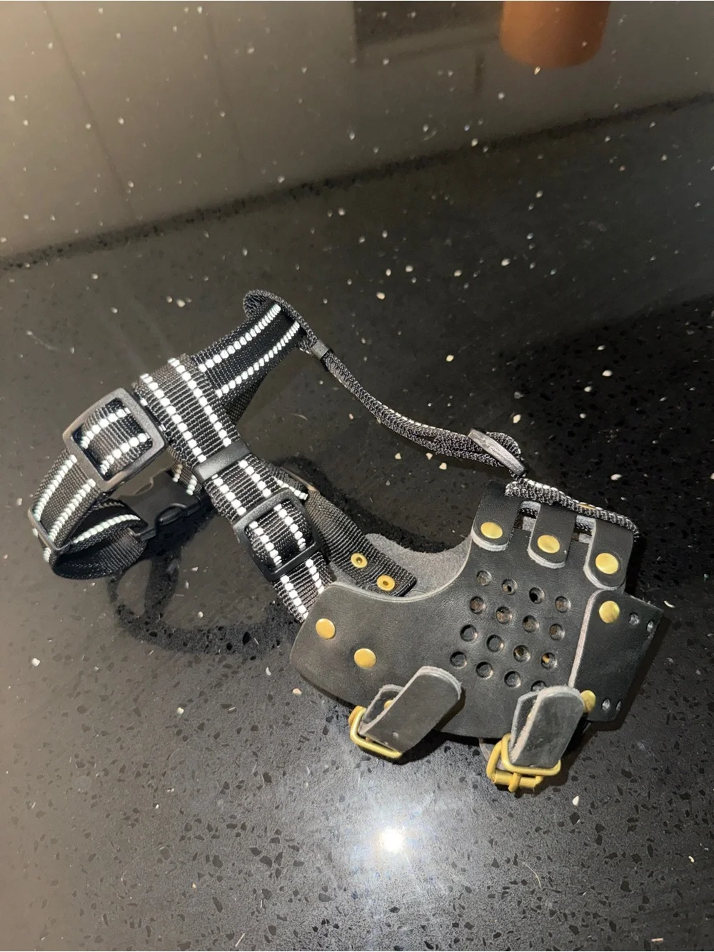 Black Leather Basket Dog Muzzle with Gold Rivets and Buckles